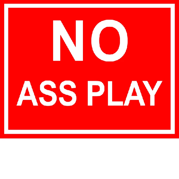 LG Williams, NO ASS PLAY, 2003.