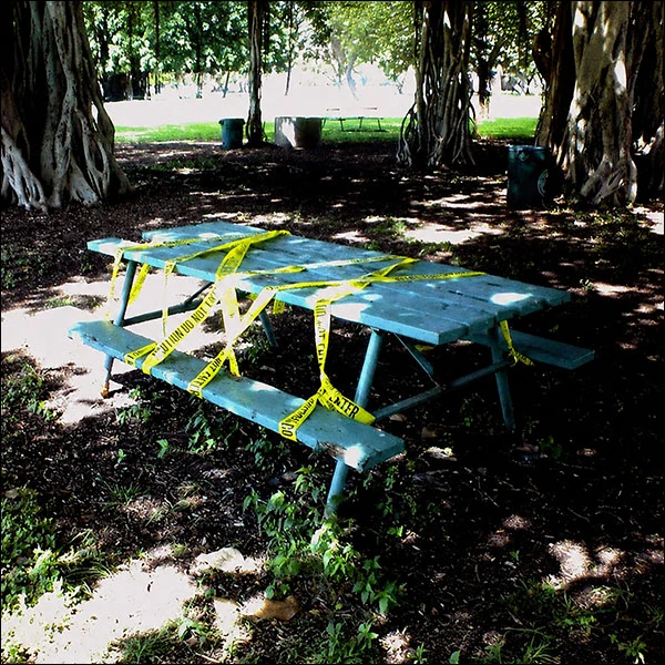 LG Williams, No Rest, 2009.