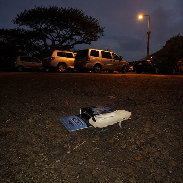 LG Williams, Parking Lot Fuck from The Parking Lot Fuck (Series), 2009.