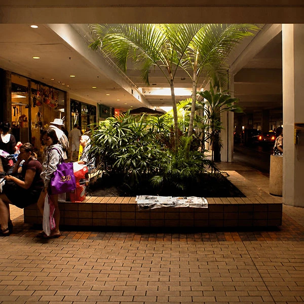 LG Williams, Newspaper Seat, 2009, Newspaper On Bench, Ala Moana Shopping Center, Honolulu, HI.