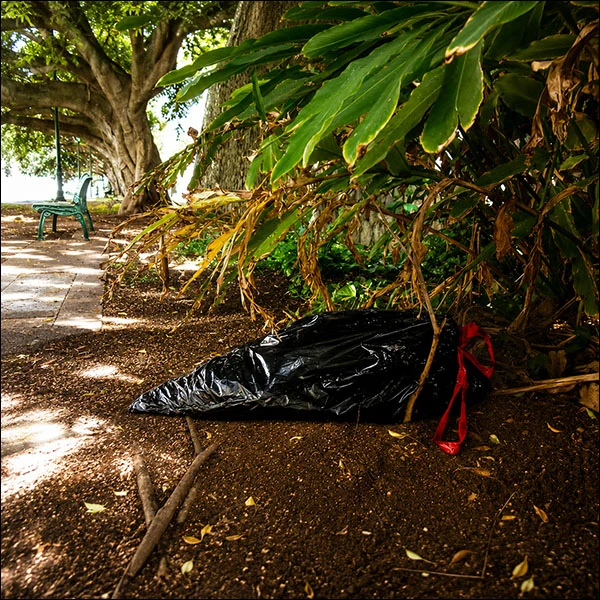 LG Williams, Garbage Resting Under A Palm, 2009, Garbage Installation, Honolulu, Hawaii.