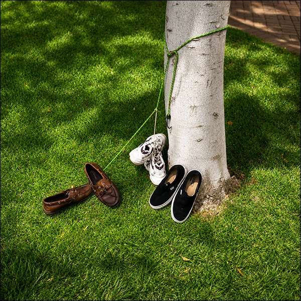 LG Williams, Jealousy, 2009, Installation, Honolulu, HI.