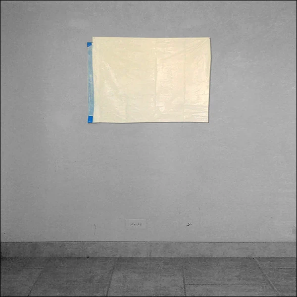 LG Williams, White Flag, 2009, Hefty® Tall Kitchen Garbage Bag On Wall.
