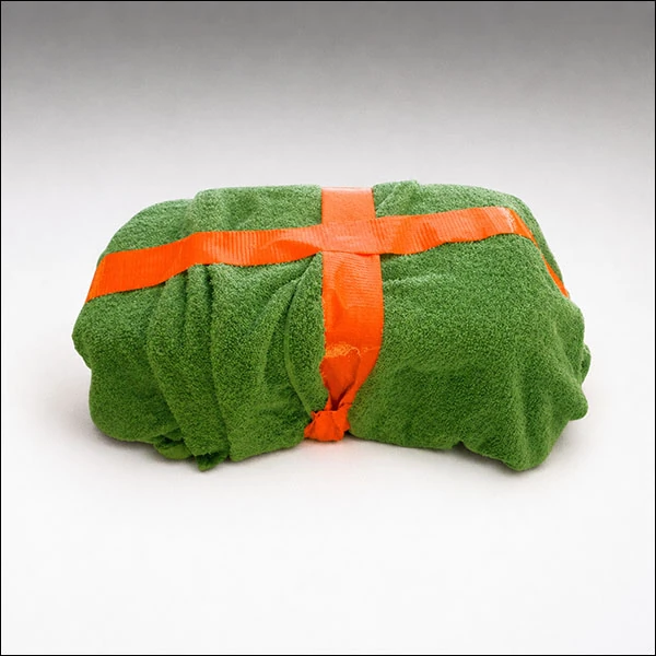 LG Williams, Survival Kit, 2009.