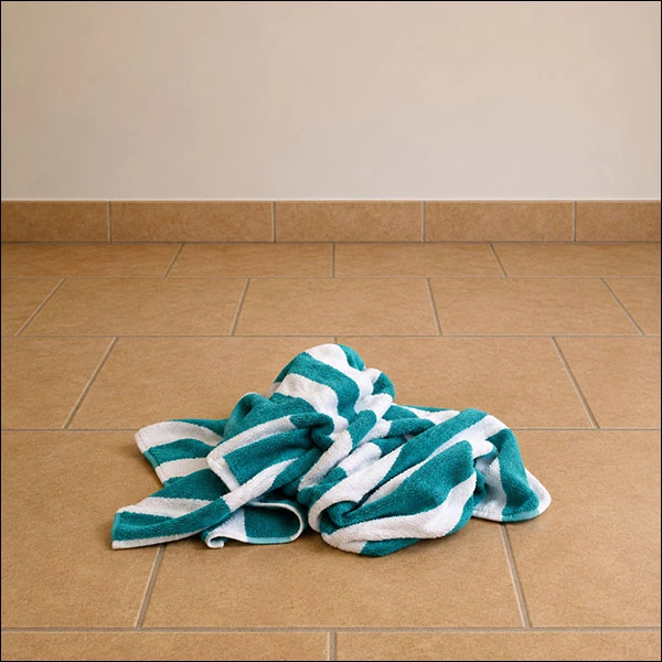 LG Williams, Go Glamorous Turn Heads, 2009, Beach Towel on Floor.