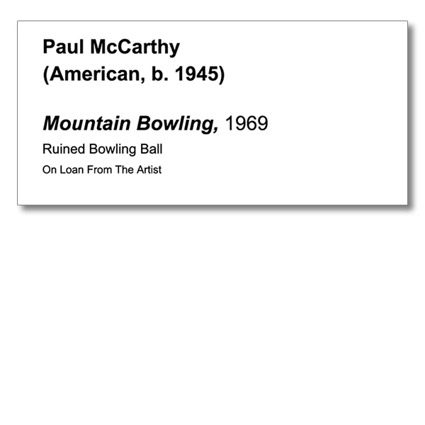 LG Williams, Paul McCarthy, 2010, Wall Label on Wall.