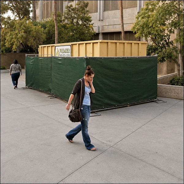 LG Williams, Pay No Attention To That Behind The Curtain or I'm Quitting Betty Ford, 2013, Chain Link Fence, Netting, and Garbage Dumpster.