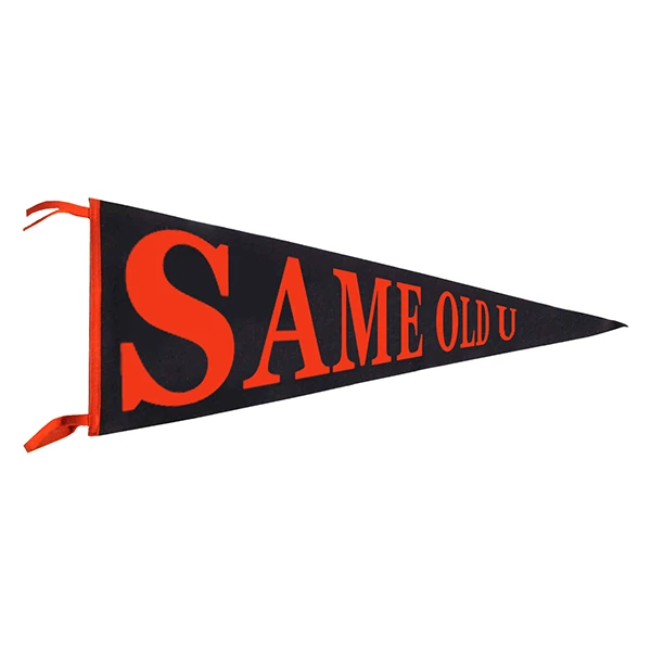 LG Williams, Same Old U (For DP), 2014, Wool Pennant.