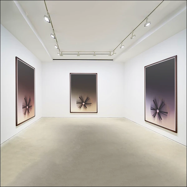LG Williams, The Ceremony, The Obligatory, The Forbidden, 2014, Chromogenic Print.