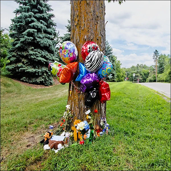 LG Williams, LG Williams, Please Don't Enter Confidential Information In Our Conversations, 2021, Party Decorations On Tree. Edition Of 10.