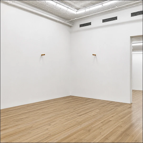 LG Williams, The Eternal Recurrence of the Piercing Stake #1 and #2, 2025, Wooden Stakes In Wall.