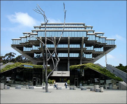 Terry Allen's Tree sculpture inside William Pereira's Geisel Library