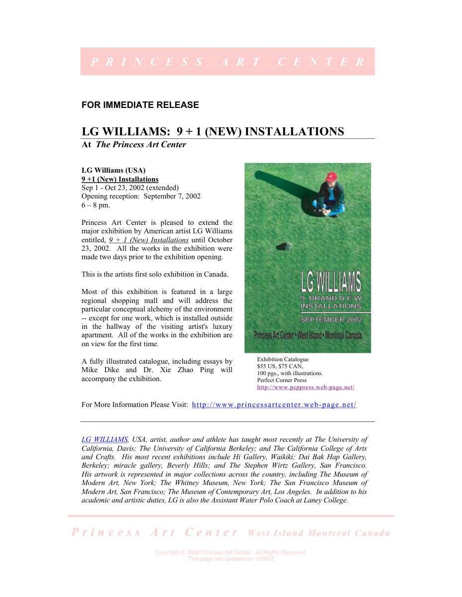 Essay: LG Williams presents nine plus one new installations across the Princess Art Center and a surrounding mall two days before opening, 2002