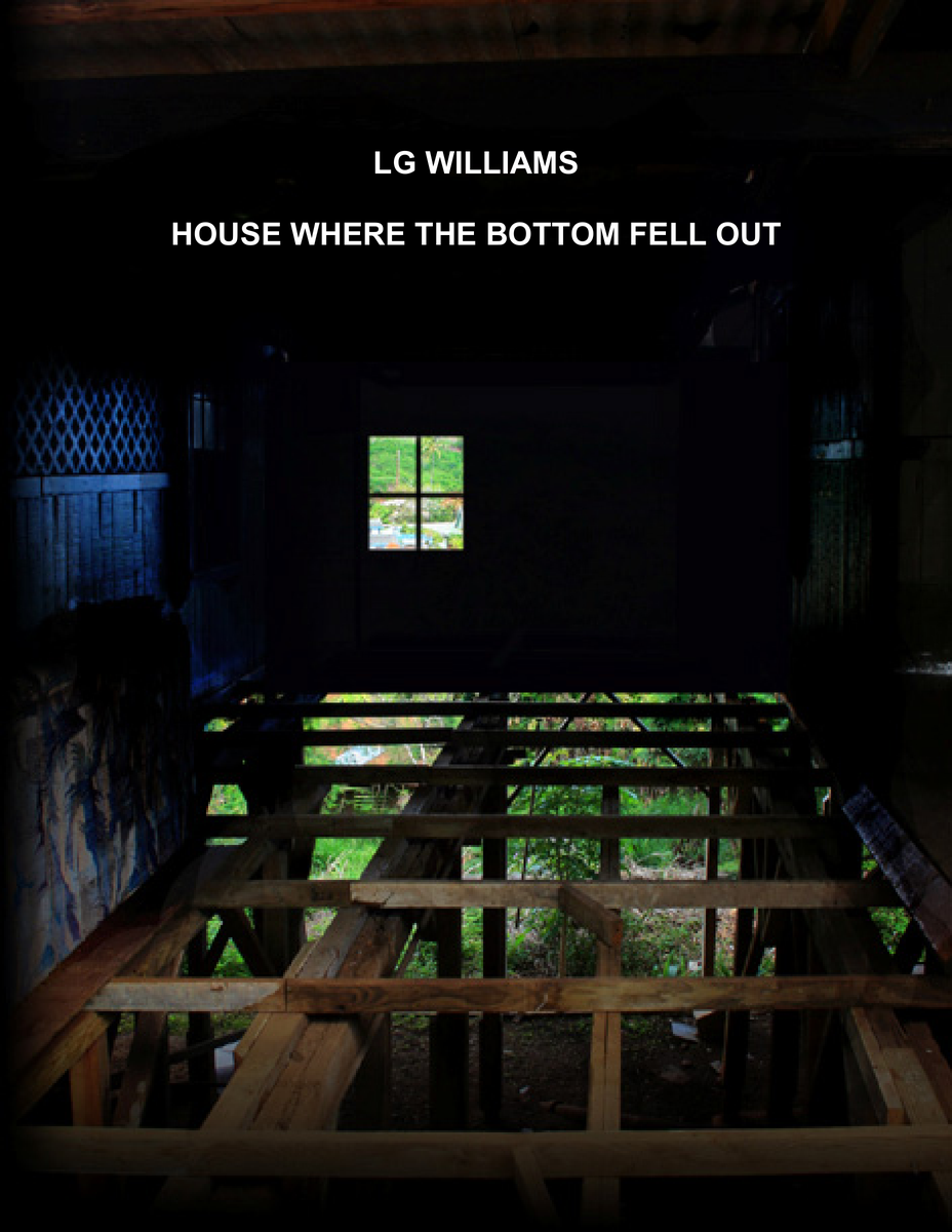 Essay: LG Williams proposes House Where The Bottom Fell Out, removing the floor of a Hawaiian house as a spatial metaphor for economic collapse, 2008