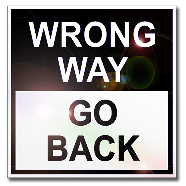 Wrong Way Go Back (Santayana) by LG Williams, 2015